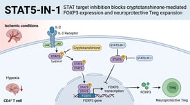 STAT5-IN-1 STAT target inhibition blocks cryptotanshinone-mediated FOXP3 expression and neuroprotective Treg expansion