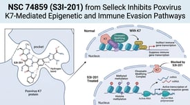 NSC 74859 (S3I-201) from Selleck Inhibits Poxvirus K7-Mediated Epigenetic and Immune Evasion Pathways