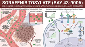 Sorafenib Tosylate (BAY 43-9006) Multikinase Inhibition via Sodium Selenite Nanoparticles in Hepatocellular Carcinoma