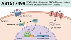 AS1517499 STAT inhibitor Regulates STAT6 Phosphorylation and NIS Expression in Graves Disease