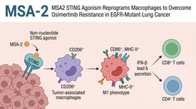 MSA-2 MSA2 STING Agonism Reprograms Macrophages to Overcome Osimertinib Resistance in EGFR-Mutant Lung Cancer
