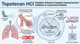 Topotecan HCl Inhalation Enhances Targeted Topoisomerase I Inhibition in Lung Cancer Models