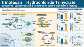 Irinotecan Hydrochloride Trihydrate targeting Topoisomerase I in neuroendocrine carcinoma therapy
